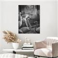 Picture of Flamingo _GroupedProduct_Rectangle_Portrait_Photography _GroupedProduct_Rectangle_Portrait_Unframed_Print_Only_