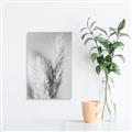 Picture of Enchanted Pampas Grass _GroupedProduct_Rectangle_Portrait_Photography _GroupedProduct_Rectangle_Portrait_Unframed_Print_Only_