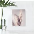 Picture of Enchanted Pampas Grass _GroupedProduct_Rectangle_Portrait_Photography _GroupedProduct_Rectangle_Portrait_Unframed_Print_Only_
