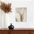 Picture of Enchanted Pampas Grass _GroupedProduct_Rectangle_Portrait_Photography _GroupedProduct_Rectangle_Portrait_Unframed_Print_Only_