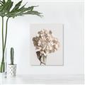 Picture of Lullaby of a Beige Flower _GroupedProduct_Rectangle_Portrait_Photography _GroupedProduct_Rectangle_Portrait_Unframed_Print_Only_