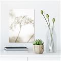 Picture of Desert Bloom Elegance _GroupedProduct_Rectangle_Portrait_Photography _GroupedProduct_Rectangle_Portrait_Unframed_Print_Only_