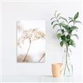 Picture of Desert Bloom Elegance _GroupedProduct_Rectangle_Portrait_Photography _GroupedProduct_Rectangle_Portrait_Unframed_Print_Only_