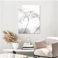 Picture of Desert Bloom Elegance _GroupedProduct_Rectangle_Portrait_Photography _GroupedProduct_Rectangle_Portrait_Unframed_Print_Only_