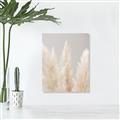 Picture of Creamy Petal Pampas II _GroupedProduct_Rectangle_Portrait_Photography _GroupedProduct_Rectangle_Portrait_Unframed_Print_Only_