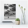 Picture of Tranquil Walk in the Valley _GroupedProduct_Rectangle_Portrait_Photography _GroupedProduct_Rectangle_Portrait_Unframed_Print_Only_