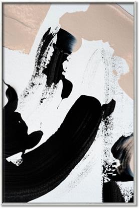 Picture of Black and Nude 1