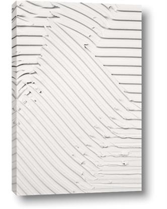 Picture of Textures on Gray Clay I