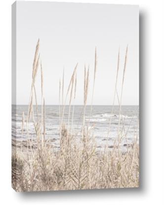 Picture of Beach Vass