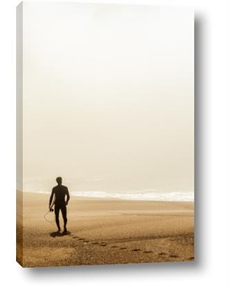 Picture of Looking for the Sun