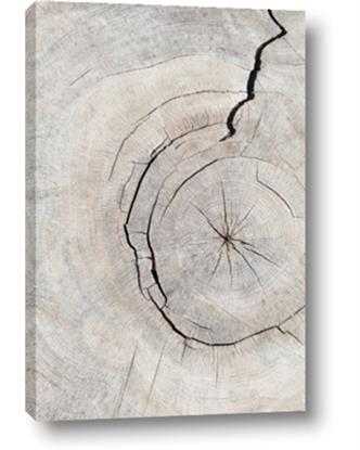 Picture of Cracked Wood