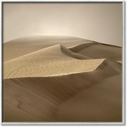 Picture of Desert Sand