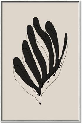 Picture of Petals or Leaves?