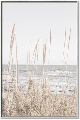 Picture of Beach Vass