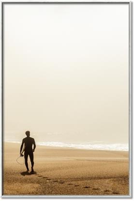 Picture of Looking for the Sun