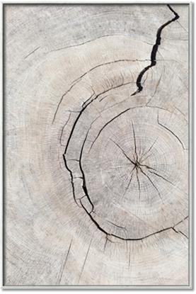 Picture of Cracked Wood