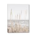 Picture of Beach Vass _GroupedProduct_Rectangle_Portrait_Photography _GroupedProduct_Rectangle_Portrait_Canvas_