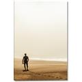 Picture of Looking for the Sun _GroupedProduct_Rectangle_Portrait_Photography _GroupedProduct_Rectangle_Portrait_Canvas_