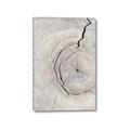 Picture of Cracked Wood _GroupedProduct_Rectangle_Portrait_Photography _GroupedProduct_Rectangle_Portrait_Canvas_