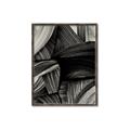 Picture of Serene Echo _GroupedProduct_Rectangle_Portrait_Canvas_Framed_