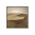 Picture of Desert Sand _GroupedProduct_Square_Photography _GroupedProduct_Square_Canvas_Framed_