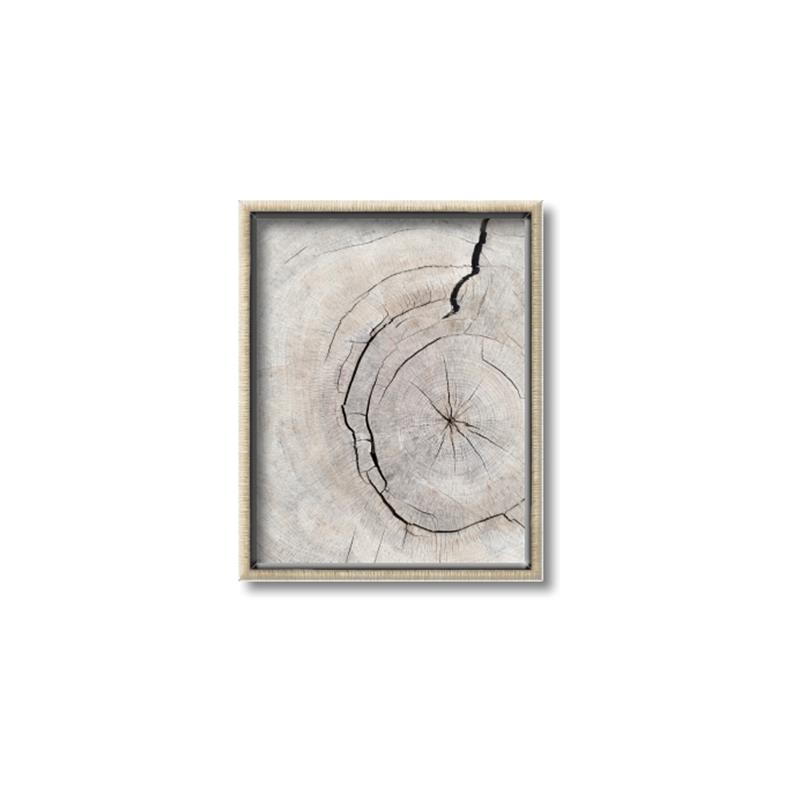 Picture of Cracked Wood _GroupedProduct_Rectangle_Portrait_Photography _GroupedProduct_Rectangle_Portrait_Canvas_Framed_
