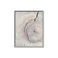 Picture of Cracked Wood _GroupedProduct_Rectangle_Portrait_Photography _GroupedProduct_Rectangle_Portrait_Canvas_Framed_