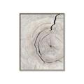 Picture of Cracked Wood _GroupedProduct_Rectangle_Portrait_Photography _GroupedProduct_Rectangle_Portrait_Canvas_Framed_
