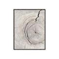 Picture of Cracked Wood _GroupedProduct_Rectangle_Portrait_Photography _GroupedProduct_Rectangle_Portrait_Canvas_Framed_
