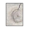 Picture of Cracked Wood _GroupedProduct_Rectangle_Portrait_Photography _GroupedProduct_Rectangle_Portrait_Canvas_Framed_