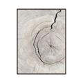 Picture of Cracked Wood _GroupedProduct_Rectangle_Portrait_Photography _GroupedProduct_Rectangle_Portrait_Canvas_Framed_