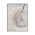 Picture of Cracked Wood _GroupedProduct_Rectangle_Portrait_Photography _GroupedProduct_Rectangle_Portrait_Canvas_Framed_