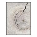 Picture of Cracked Wood _GroupedProduct_Rectangle_Portrait_Photography _GroupedProduct_Rectangle_Portrait_Canvas_Framed_