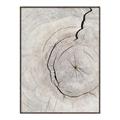 Picture of Cracked Wood _GroupedProduct_Rectangle_Portrait_Photography _GroupedProduct_Rectangle_Portrait_Canvas_Framed_