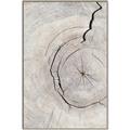 Picture of Cracked Wood _GroupedProduct_Rectangle_Portrait_Photography _GroupedProduct_Rectangle_Portrait_Canvas_Framed_