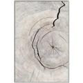 Picture of Cracked Wood _GroupedProduct_Rectangle_Portrait_Photography _GroupedProduct_Rectangle_Portrait_Canvas_Framed_