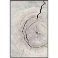 Picture of Cracked Wood _GroupedProduct_Rectangle_Portrait_Photography _GroupedProduct_Rectangle_Portrait_Canvas_Framed_