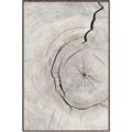 Picture of Cracked Wood _GroupedProduct_Rectangle_Portrait_Photography _GroupedProduct_Rectangle_Portrait_Canvas_Framed_