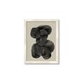 Picture of Mystic Dance _GroupedProduct_Rectangle_Portrait_Framed_Matted_