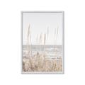 Picture of Beach Vass _GroupedProduct_Rectangle_Portrait_Photography _GroupedProduct_Rectangle_Portrait_Framed_Matted_