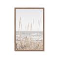 Picture of Beach Vass _GroupedProduct_Rectangle_Portrait_Photography _GroupedProduct_Rectangle_Portrait_Framed_Matted_