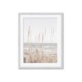 Picture of Beach Vass _GroupedProduct_Rectangle_Portrait_Photography _GroupedProduct_Rectangle_Portrait_Framed_Matted_