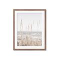 Picture of Beach Vass _GroupedProduct_Rectangle_Portrait_Photography _GroupedProduct_Rectangle_Portrait_Framed_Matted_