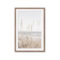 Picture of Beach Vass _GroupedProduct_Rectangle_Portrait_Photography _GroupedProduct_Rectangle_Portrait_Framed_Matted_
