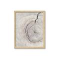 Picture of Cracked Wood _GroupedProduct_Rectangle_Portrait_Photography _GroupedProduct_Rectangle_Portrait_Framed_Matted_