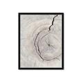 Picture of Cracked Wood _GroupedProduct_Rectangle_Portrait_Photography _GroupedProduct_Rectangle_Portrait_Framed_Matted_