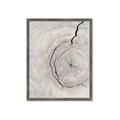 Picture of Cracked Wood _GroupedProduct_Rectangle_Portrait_Photography _GroupedProduct_Rectangle_Portrait_Framed_Matted_