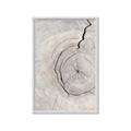 Picture of Cracked Wood _GroupedProduct_Rectangle_Portrait_Photography _GroupedProduct_Rectangle_Portrait_Framed_Matted_