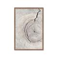 Picture of Cracked Wood _GroupedProduct_Rectangle_Portrait_Photography _GroupedProduct_Rectangle_Portrait_Framed_Matted_