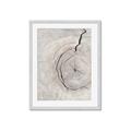 Picture of Cracked Wood _GroupedProduct_Rectangle_Portrait_Photography _GroupedProduct_Rectangle_Portrait_Framed_Matted_
